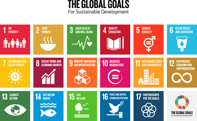 SDGs Grid Color