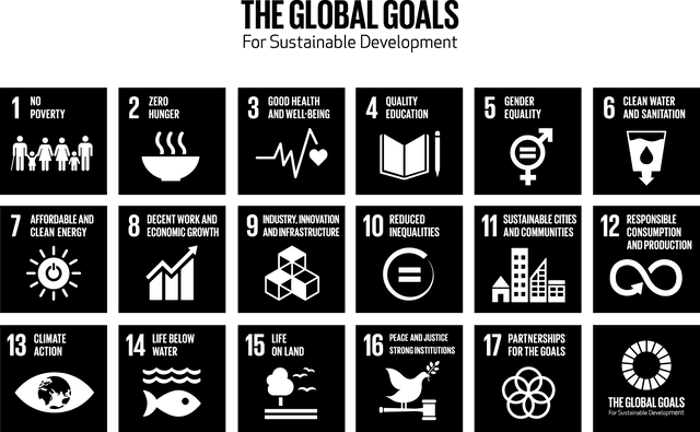 SDGs Grid Black