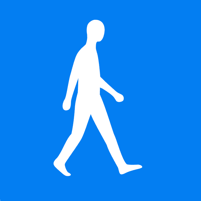 AIESEC Human Logo Blue