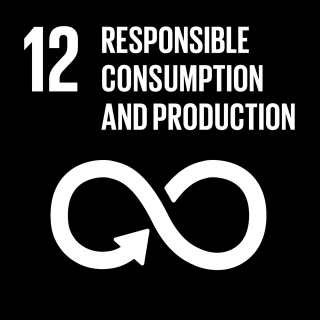 SDGs 12 Responsible Consumption and Production Black