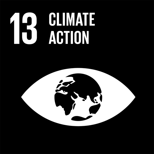 SDGs 13 Climate Action Black