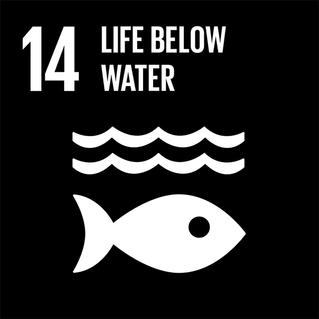 SDGs 14 Life Below Water Black