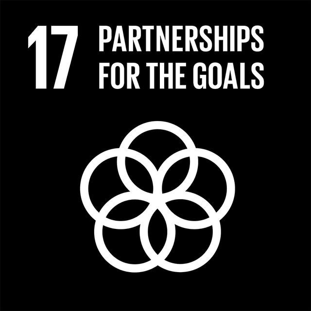 SDGs 17 Partnerships for the Goals Black