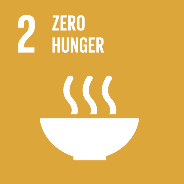 SDGs 2 Zero Hunger Color