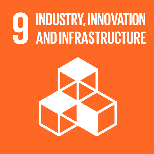 SDGs 9 Industry Innovation and Infrastructure Color
