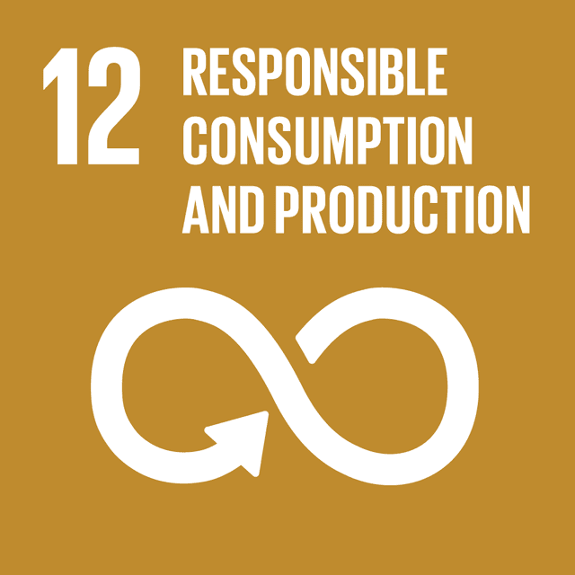 SDGs 12 Responsible Consumption and Production Color