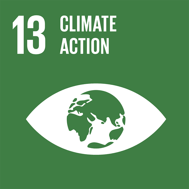SDGs 13 Climate Action Color