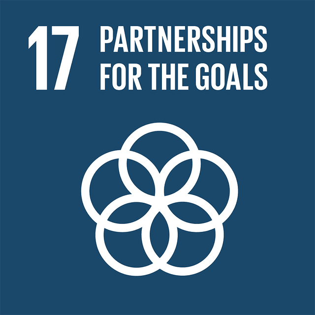 SDGs 17 Partnerships for the Goals Color